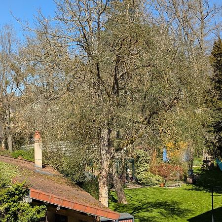La Maison D'A Cote Saint-Amand-en-Puisaye Bagian luar foto