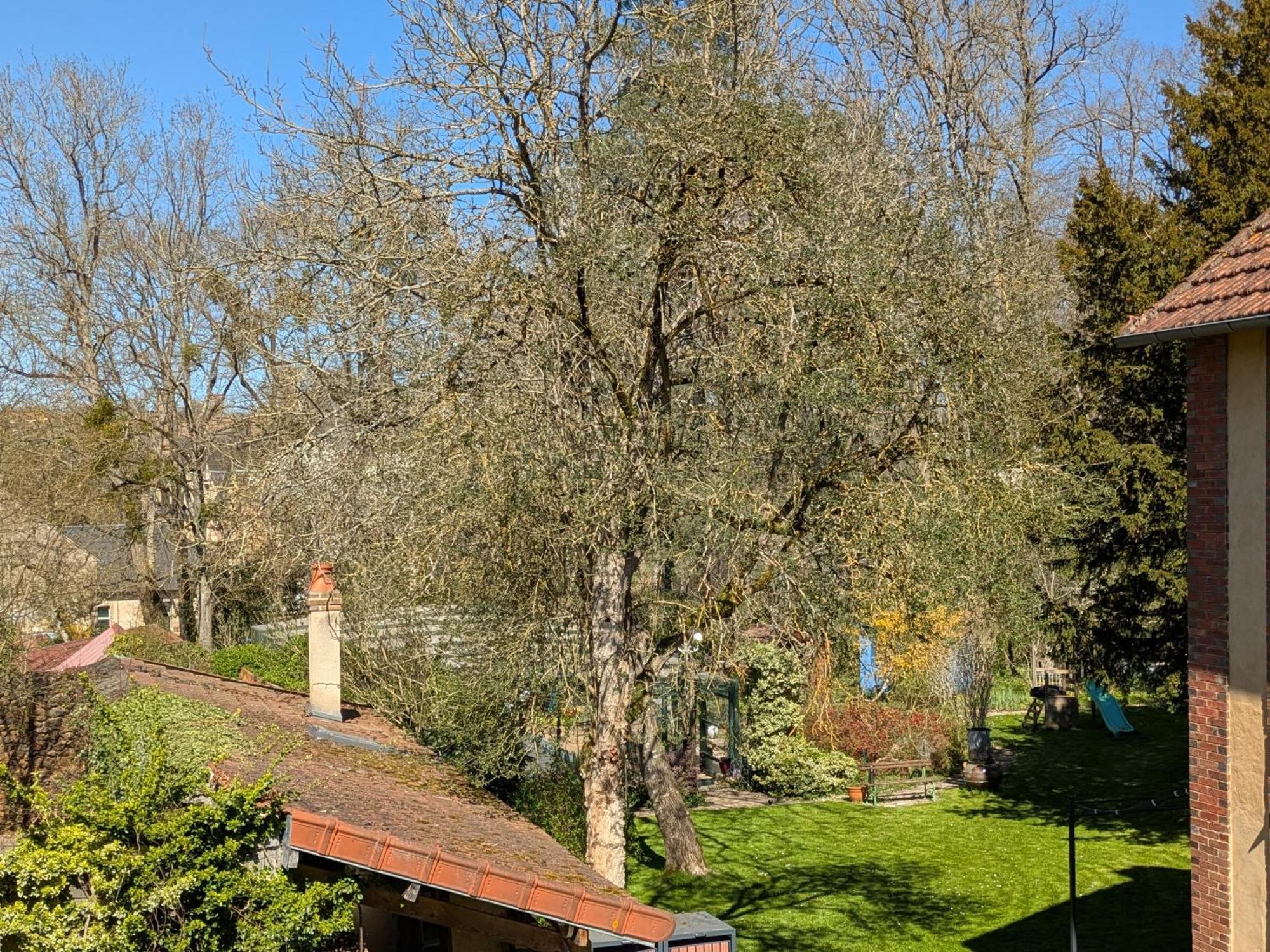 La Maison D'A Cote Saint-Amand-en-Puisaye Bagian luar foto