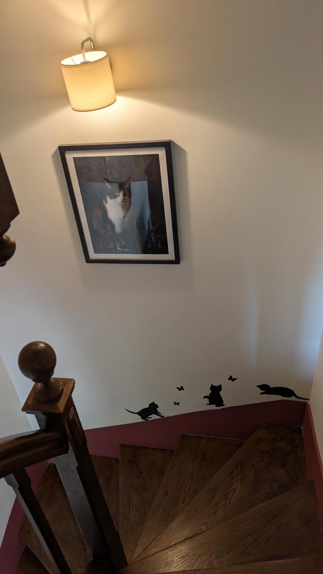 La Maison D'A Cote Saint-Amand-en-Puisaye Bagian luar foto